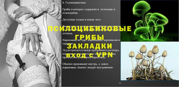 трава Надым