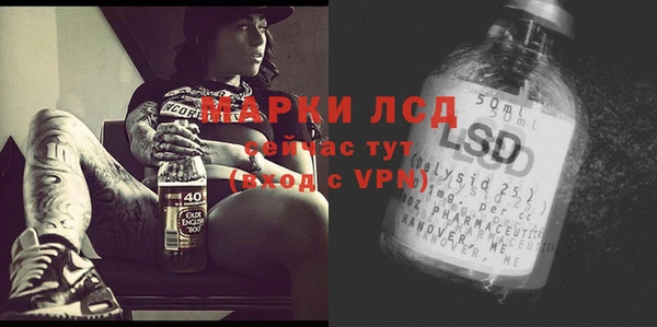 трава Надым