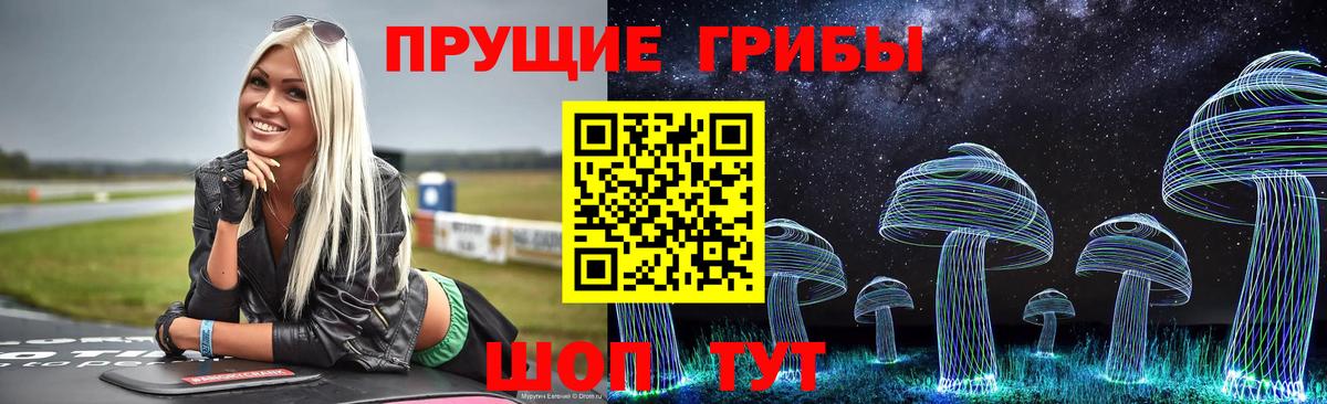 Псилоцибиновые грибы GOLDEN TEACHER Ангарск